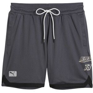 Puma Mens Structured Track Shorts / Gray